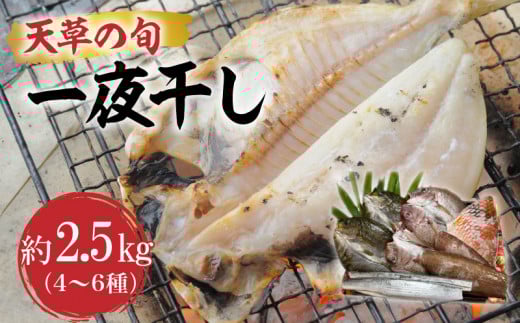 S123-002_天草の旬　一夜干し