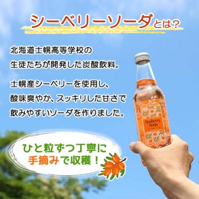 ふるさと納税 士幌町 シーベリーソーダ 330ml×10本  士幌高校生開発 サジー 十勝 士幌町【C01】 |  | 01
