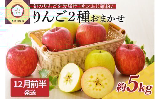 【2025年12月前半発送】 りんご 青森産 約5kg サンふじ 確約 品種おまかせ2種以上 贈答用 特選～特秀