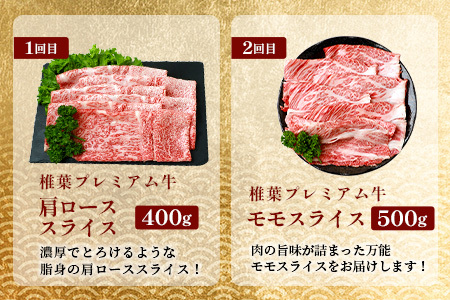 お試し定期便 【 定期便 3回 】 総重量 1,900g 牛肉 椎葉プレミアム牛の スライス肉 ＆ 切り落とし肉 定期便 【 日本三大秘境 椎葉村 育ちの黒毛和牛 】[ 牛肉 椎葉牛 椎葉プレミアム牛