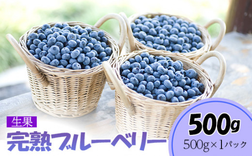 完熟ブルーベリー500g（生果）＜期間限定＞【ブルーベリー王国美里町からお届け！】[No.174] ／ 完熟ブルーベリー 生ブルーベリー フルーツ 果実 甘酸っぱい フルーツギフト 手摘み果実 フレッシュブルーベリー デザート フルーツお取り寄せ 朝食 おやつ 冷凍保存可 フルーツセット 食べ頃 埼玉県
