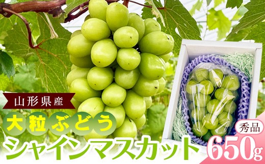 
                  【先行予約】山形県産 シャインマスカット 秀品 650g（1房） 令和8年産 【2026年9月中旬頃から10月下旬頃発送予定】※配送不可 沖縄・離島　010-B-RF006
                