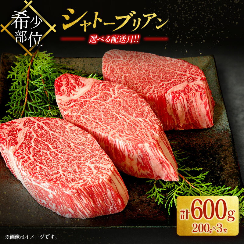 【ふるさと納税】毎月3個限定！シャトーブリアン ステーキ 希少部位 200g×3枚 (計600g) 宮崎県産 黒毛和牛 ヒレ フィレ 国産 牛肉 赤身 限定《選べる配送月》