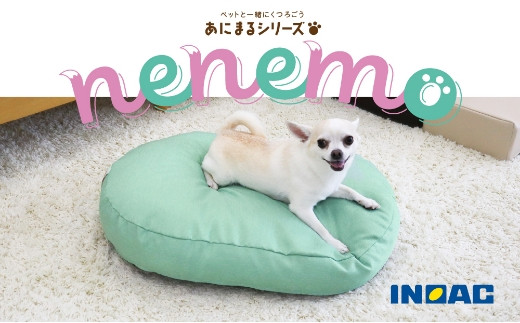 【14日営業日以内発送】あにまるシリーズnenemo （グリーン）ベッドクッション クッション ベッド ペット ペット用 広々サイズ ウレタン ペットグッズ ふんわり 九州 福岡県 うきは市