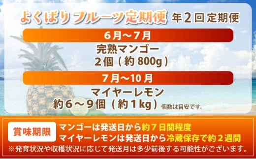 最高糖度20度！？完熟マンゴーと青切りマイヤーレモンの定期便！！年2回に分けてお送りします《2027年6月以降発送》| 先行予約 マンゴー マイヤーレモン フルーツ トロピカル ふるさと納税 ふるさと