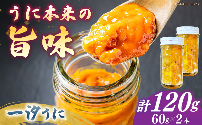 一汐うに 60ｇ×2本 ≪壱岐市≫【馬渡水産】 冷凍配送 雲丹 ご飯に合う 珍味 希少 お取り寄せ ウニ [JAQ014]