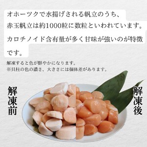 22-128 【お中元】【希少】お刺身用 赤帆立800g　｜ 北海道産　グルメ　海鮮丼