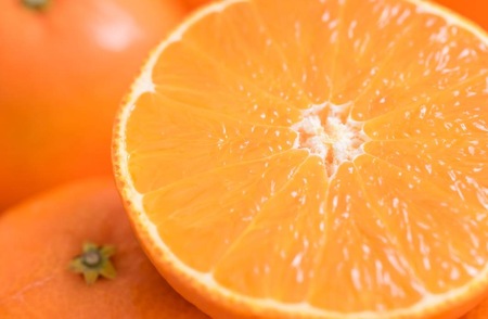 せとか バラ詰め 5kg 先行予約 【2026年2月以降発送】 愛媛 数量限定 愛媛県産 人気 柑橘 伊予市｜C55