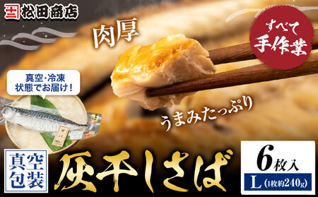 灰干しさば Lサイズ 6枚 真空包装 松田商店