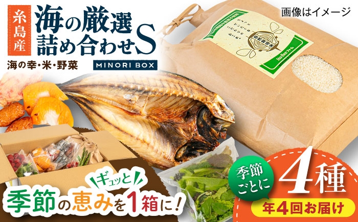 
            【全4回定期便】 糸島産 魚 米 野菜 果物 厳選詰め合わせ MINORI BOX Sサイズ【季節ごとに年4回お届け】　糸島市 / emma.Inc / 米 魚 野菜 詰め合わせ [AOP004]
          