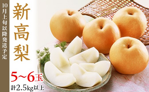 74-21 新高梨 5～6玉（2.5kg以上）【2026年10月上旬～下旬発送予定】