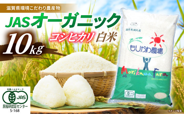 
            コシヒカリ 白米 10kg JASオーガニック  滋賀県長浜市/有限会社もりかわ農場 [AQBL003] 米 お米 白米  10kg  ご飯 ごはん ゴハン 近江米
          