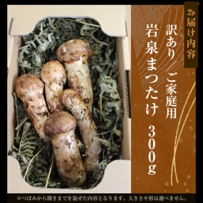 【2026秋発送】【訳アリ】 岩泉まつたけ  300g　家庭用にどうぞ【配送不可地域：離島】【1423709】