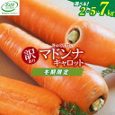 【ふるさと納税】高評価☆4.88 訳あり 国産 にんじん マドンナキャロット 2kg 5kg 7kg 先行予約 生鮮食品 甘みたっぷり 不揃い サイズ混合 こどもも食べられる 無添加ジュース 神重農産 JGAP認証農場 野菜 碧南市 特産 炊き込みご飯 煮物 かき揚げ 旬 お取り寄せ 送料無料