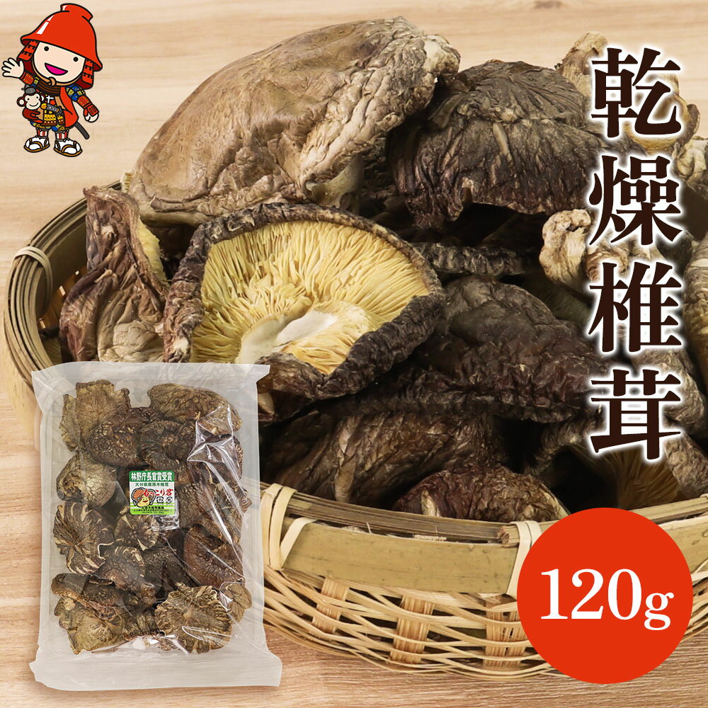 【ふるさと納税】乾燥椎茸 120g | きのこ キノコ しいたけ シイタケ 椎茸 原木栽培 乾しいたけ 干し椎茸 干ししいたけ 乾燥しいたけ 干しシイタケ 大分県産 九州産 国産 大分県 中津市【発送は令和7年4月中旬～令和7年12月末まで発送予定】
