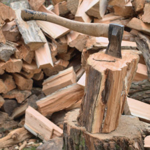 拾得 里山体験宿泊 １泊２日/２食付 子ども１人 農家民宿 京都府舞鶴市