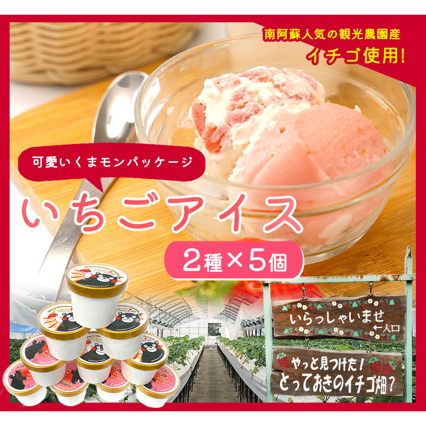 いちご アイス 2種×5個セット やっと見つけた！とっておきのイチゴ畑？《30日以内に出荷予定(土日祝除く)》---isms_fyatoaice_30d_23_15000_10p---