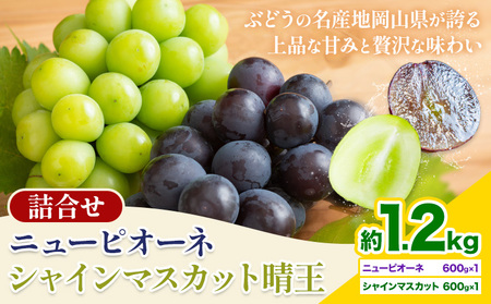 【先行予約】 岡山県産 シャインマスカット「晴王」とニューピオーネ 計 1.2kg 株式会社はちや《6月下旬～7月下旬頃頃出荷》【配送不可地域あり】