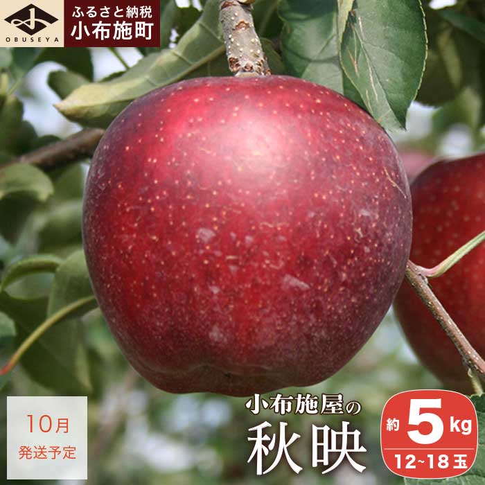 秋映 約5kg 12～18玉 ［小布施屋］ りんご 林檎 リンゴ 果物 フルーツ 長野県産 信州産 産地直送 産直 数量限定 先行予約  令和7年産  【2025年10月発送】