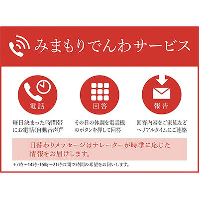 【ふるさと納税】チケット みまもりでんわサービス 12か月 利用期間12ヶ月間 固定電話 自動音声 体調確認 ご家族様 お知らせ サービス 静岡県浜松市