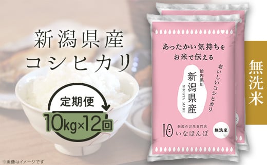 27-M10ZD【無洗米】新潟県産コシヒカリ10kg（5kg×2袋）【12ヶ月連続お届け】