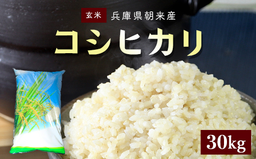 【令和6年産 新米】朝来産コシヒカリ米 (30kg)《玄米》米 コメ こめ お米 おこめ ご飯 ごはん 玄米 げんまい コシヒカリ こしひかり 30キロ 国産 国産米 兵庫県 朝来市 AS4DE1