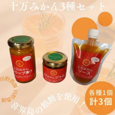 ふるさと納税 さつま町 十万みかん加工品3種セット(シロップ漬け・ソース・ジャム各1個・計3個)
