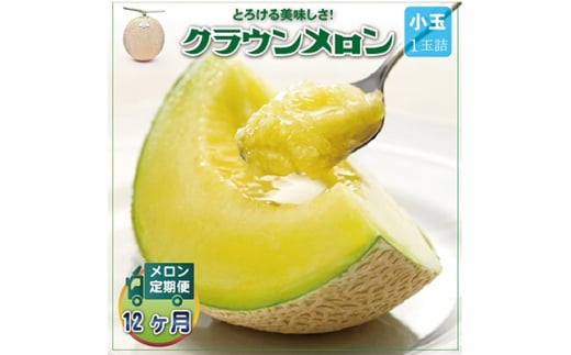 ＜毎月定期便＞クラウンメロン 白等級 小玉1玉 静岡県産 高級 マスクメロン＜1年中お届け＞全12回【4012653】