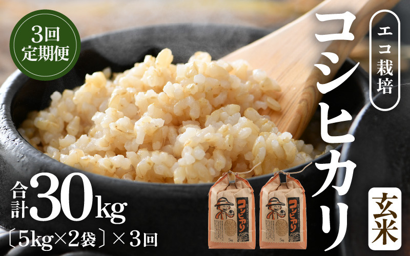 
            【先行予約】【令和7年産 新米】《定期便3回》エコ栽培コシヒカリ 玄米10kg（5kg×2袋）計30kg ／ 鮮度抜群 福井県産 こしひかり ご飯 新鮮 玄米 ※2025年10月上旬より準備出来次第発送 [aw063-f001]
          