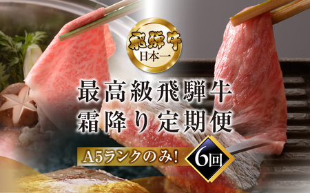 【定期便 6回】飛騨牛食べ比べ 【冷蔵配送】【39-A】