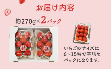 《先行予約》あまおう 約270g×2パック おすすめ 福岡県 大木町 BO003 【2026年12月下旬～2027年4月末頃にかけて順次出荷予定】いちご フルーツ 苺