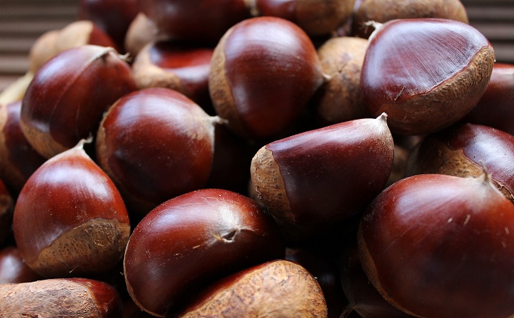 渋皮栗のパウンドケーキ 【 京都 丹波栗 くり 国産 和栗 栗のお菓子 スイーツ 秋 渋皮煮 マロン 濃厚 クリーム 菓歩菓歩 】※北海道・沖縄・その他離島は配送不可
