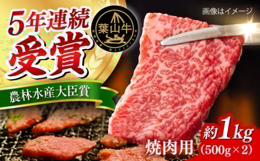 葉山牛 焼肉用切り落としセット 約1kg　【JAよこすか葉山】 [AKFO012]