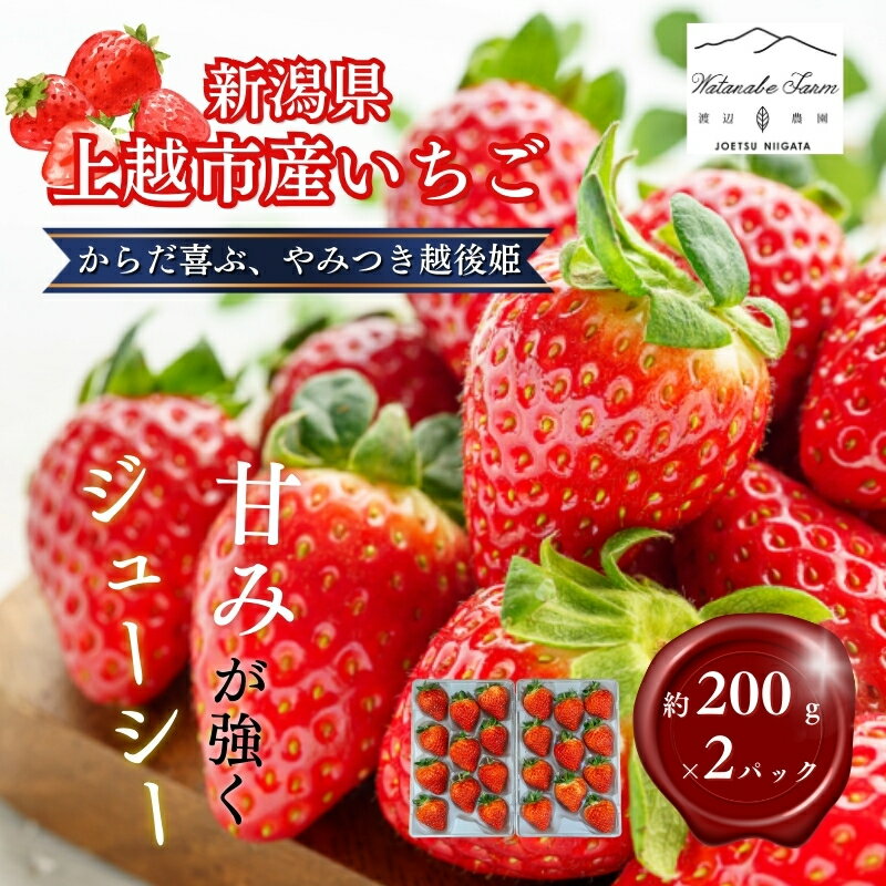 【ふるさと納税】【先行予約 | 2026年2月上旬より出荷開始】いちご 中粒 カラダよろこぶ やみつき 越後姫 約200g×2パック (18～30粒入り) イチゴ 苺 上越市 新潟　お届け：2026年2月上旬～2026年6月中旬