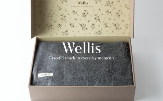 Wellis【極上の肌心地】タオルケット1枚　ギフトセット　グレー（009_5044_02）