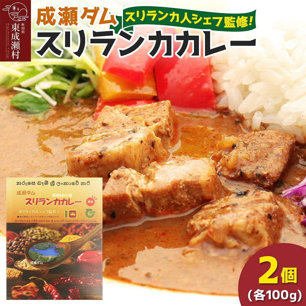 【ふるさと納税】成瀬ダム スリランカカレー 100g×2個 ゆうパケット