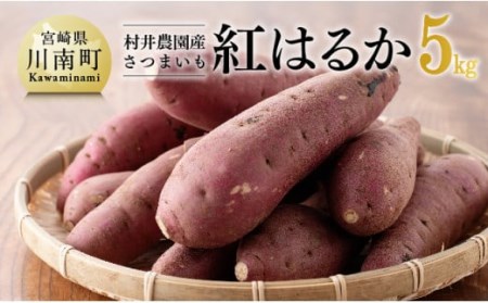 宮崎県産さつまいも　紅はるか5kg 【 宮崎県産 九州産 いも 芋 サツマイモ 野菜 】