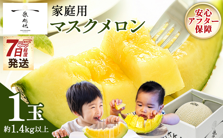 【7日程度で発送】一果相伝マスクメロン 家庭用 1玉入り - 最短配送 果物 フルーツ ギフト 家庭用 美味しい 甘い ケーキ あまい 産地直送 4月 5月 父の日 母の日 高知県 香南市 常温 tn-0062