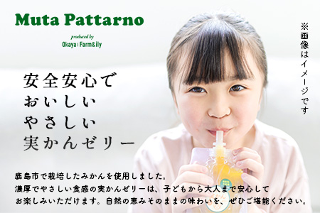 やさしい実かんゼリー 6個 セット ｜贈答 ギフト 完熟 温州みかん 使用 保存料不使用 スイーツ デザート 身体に優しい 贈り物 佐賀県 鹿島市 岡屋Farm&ily B-913
