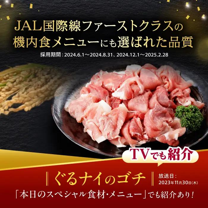 【訳あり】諫美豚切り落とし 2.1kg 豚切り落とし AHAD063