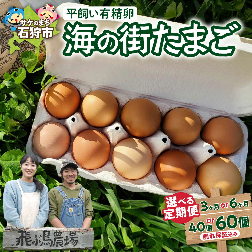 【ふるさと納税】《レビューキャンペーン》定期便 飛ぶ鳥農場 海の街たまご 【 選べる 個数 お届けプラン】 40個 60個 3ヶ月 6ヶ月 卵定期便 北海道産 卵 玉子 タマゴ 鶏卵 生卵 有精卵 新鮮 安心 黄身 朝食 卵かけご飯 スイーツ パンケーキ プリン 定期配送 北海道 石狩市