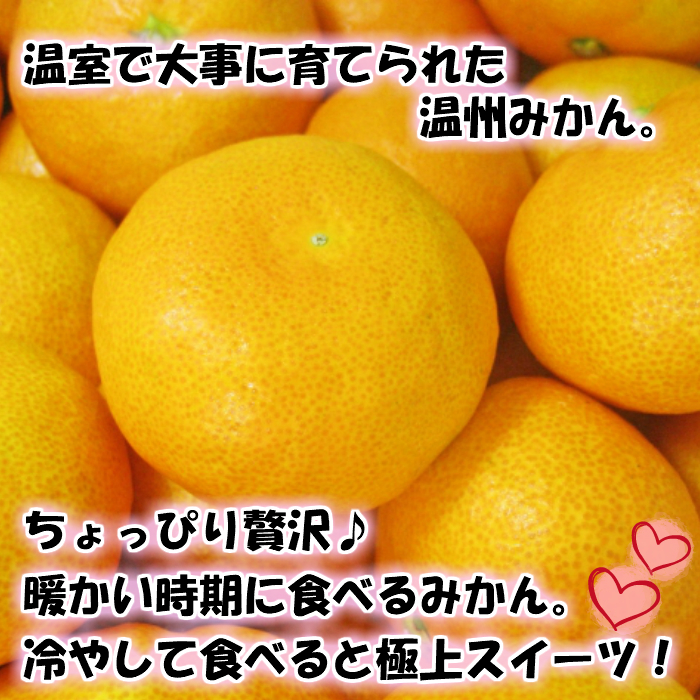 特撰品 有田のハウスみかん 赤秀 2.5kg 化粧箱入り (S～Lサイズおまかせ)_BD7007n