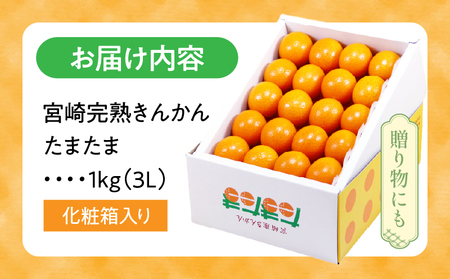 【期間・数量限定】宮崎完熟きんかん たまたま 旬 フルーツ ギフト