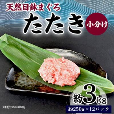 ふるさと納税 横須賀市 天然 目鉢(メバチ) まぐろたたき 約3kg(250g×12パック)小分け 冷凍