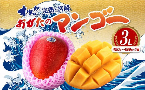 【期間・数量限定】おがたのマンゴー　完熟宮崎マンゴー　3Lサイズ(450～499g)×1個_M161-007_01