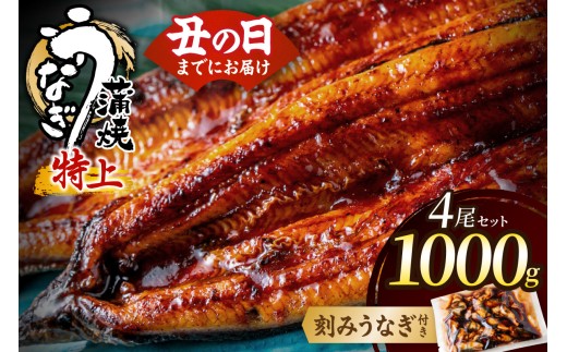 《レビューCP対象》数量限定！地域応援企画！うなぎ蒲焼き4尾セット＜刻みうなぎ40g×1袋付＞【魚住商店】_HA1494-CP 特上 鰻 ウナギ 人気 特大 炭火 うなぎの蒲焼 丑の日 土用 真空 福岡県宗像市 宗像市 福岡 宗像
