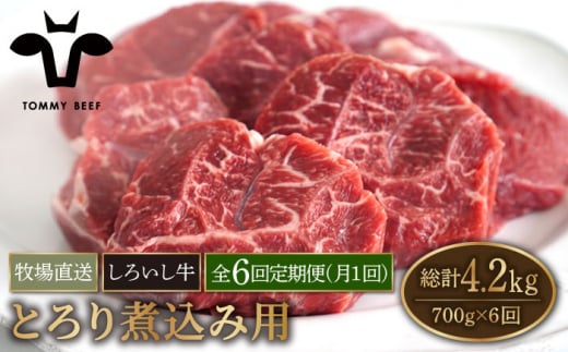 【牧場直送】【6回定期便】佐賀県産 しろいし牛 とろり 煮込み用 700g【有限会社佐賀セントラル牧場】 [IAH140]