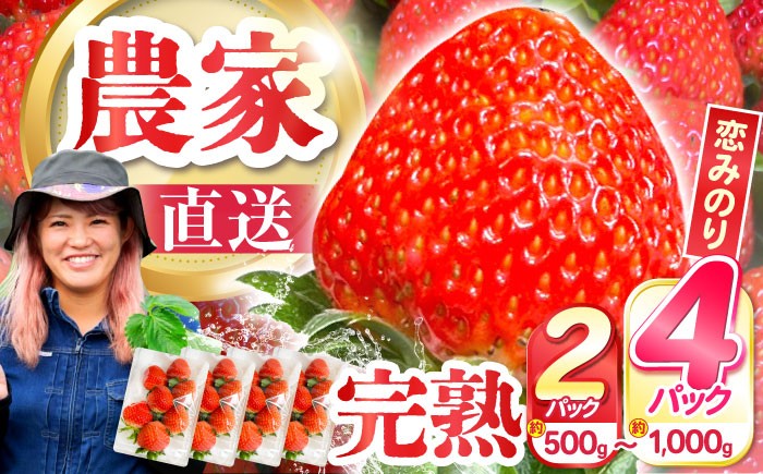 
                  いちご【選べる内容量・配送月】「2026年1月～発送」南島原産 いちご ★「恋みのり」★ 約250g×2パック 約250g×4パック/ いちご イチゴ イチゴ フルーツ 果物 イチゴ 苺 ichigo strawberry いちご イチゴ 苺 フルーツ 果物 イチゴ イチゴ 苺 ichigo strawberry ストロベリー フルーツ 果物 / 南島原市 / あゆみfarm [SFF001]
                