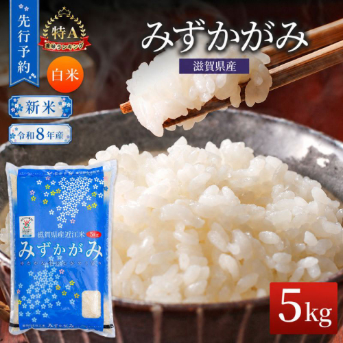 【令和8年産】 みずかがみ 米 5kg 白米 先行予約 新米 精米 こめ コメ お米 ご飯 ミズカガミ 5キロ 度産 令和八年 令和八年産 滋賀県 豊郷町