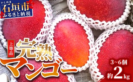 【先行予約】石垣島産 完熟マンゴー 約2kg エコ箱入り（3～6個入り）2025年6月末～7月下旬発送 SI-32
